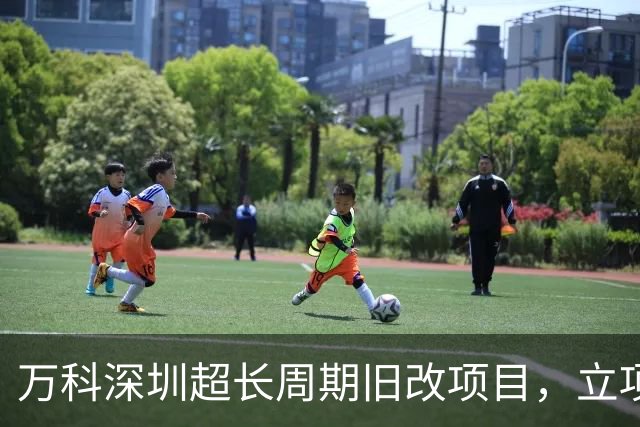 万科深圳超长周期旧改项目，立项16年后终于迎来破局！